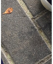 AIR JORDAN | スニーカー