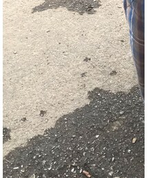 CONVERSE ALL STAR | スニーカー