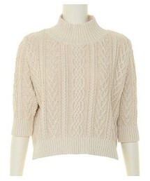 ROSE BUD | ハイネッククロップドトップス(ニット/セーター)