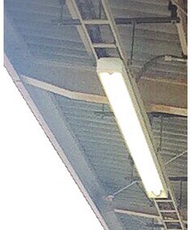 ADYN | Tシャツ/カットソー