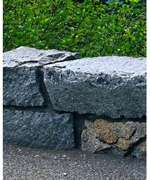 What's up | カーゴパンツ