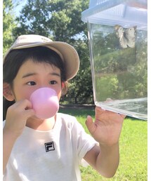 モンシロチョウ | その他