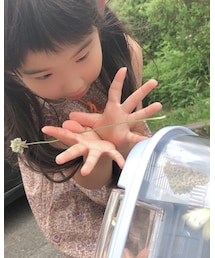 今日もツマグロヒョウモン捕まえたよー♡ | その他