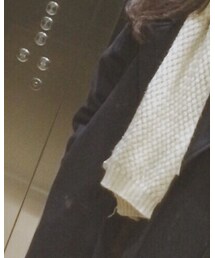 鹿与飞鸟 | チェスターコート