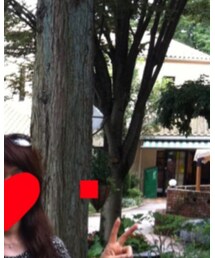 Chloe | サングラス