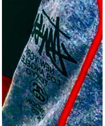 STUSSY | トップス