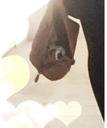 BALENCIAGA | ハンドバッグ