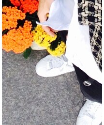 adidas | スニーカー