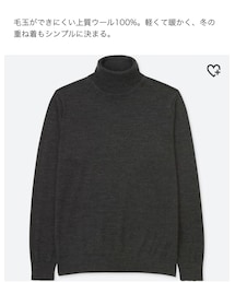 UNIQLO | エクストラファインメリノタートルネックセーター(ニット/セーター)