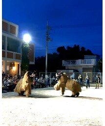 お盆シーシー | その他