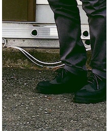 Dr. Martens | ドレスシューズ