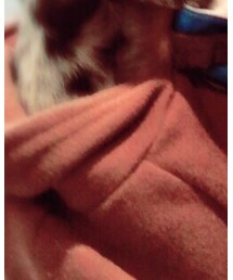 American Apparel | ダウンジャケット/コート