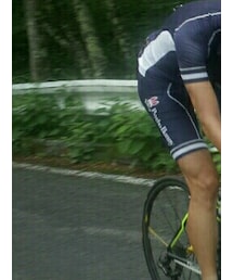 Psycho Bunny | ジャージ