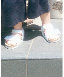 靴下屋 | ソックス/靴下