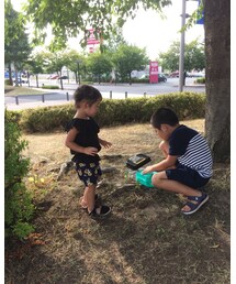 セミ大量祭り | その他