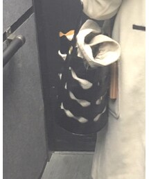 Ray BEAMS | バッグ