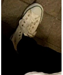 CONVERSE | スニーカー