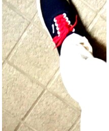 VANS | スニーカー