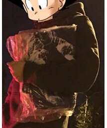 STUSSY | スウェット