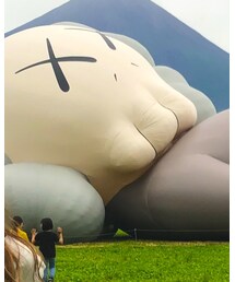 KAWS | インテリア