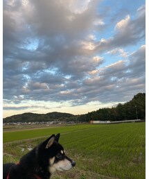 お散歩🐕💕🐾 | その他