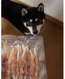 ｼﾞｬｰｷｰ大好き🐕 | その他