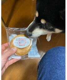 おすそ分け🍩♪ | その他