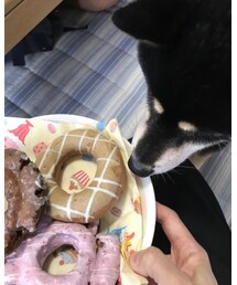 🍩🎶 | その他