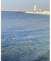 南港⚓️ | その他