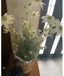 ❁⃘*.ﾟ | その他