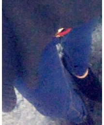 DHOLIC | デニムパンツ