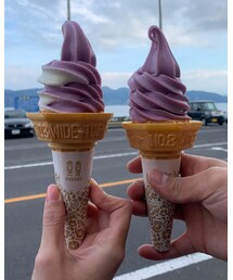 紫芋アイス | その他