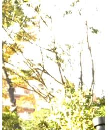 BALENCIAGA | バックパック/リュック