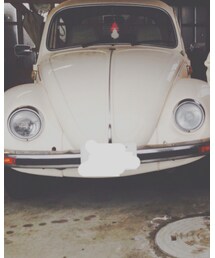 my car | てんとう虫くん 🐜🐜🐜(その他)