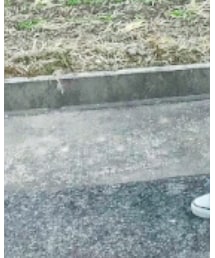 FENDI | スニーカー