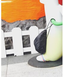 roots | トップス