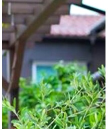 無印良品 | シャツ/ブラウス