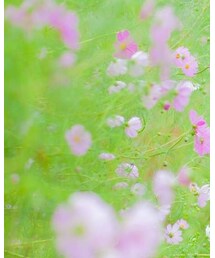 studio CLIP | ニットキャップ/ビーニー