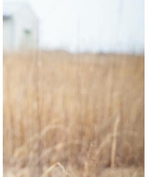 韓国服monmimi | Tシャツ/カットソー