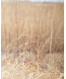 無印良品 | Tシャツ/カットソー