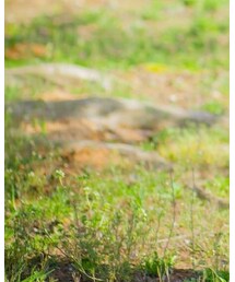 韓国服 | レギンス/スパッツ