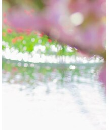 marvi | Tシャツ/カットソー