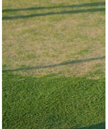 BRANSHES | Tシャツ/カットソー