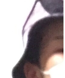 NO STEMS | ハット