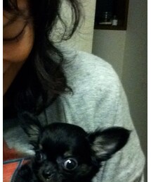 HIROMI TSUYOSHI | カーディガン/ボレロ