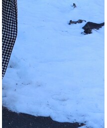 GU | タイツ/ストッキング