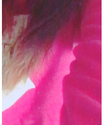 GORGE | トップス