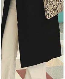 ZARA | その他アウター