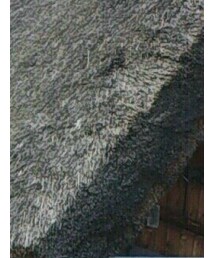 VINTAGE | ジャケット/アウター