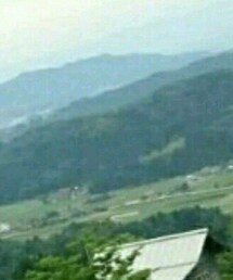 the sakaki | Tシャツ/カットソー